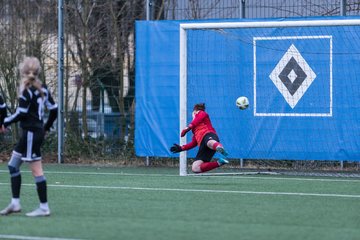 Bild 109 - wBJ HSV - F VfL Jesteburg : Ergebnis: 6:1